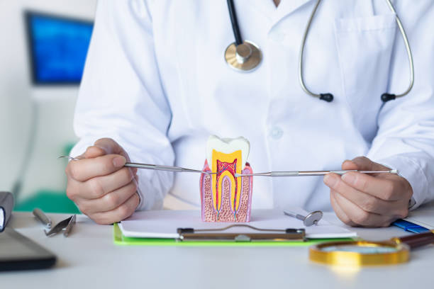 Best Pediatric Emergency Dentist in Brackettville, TX